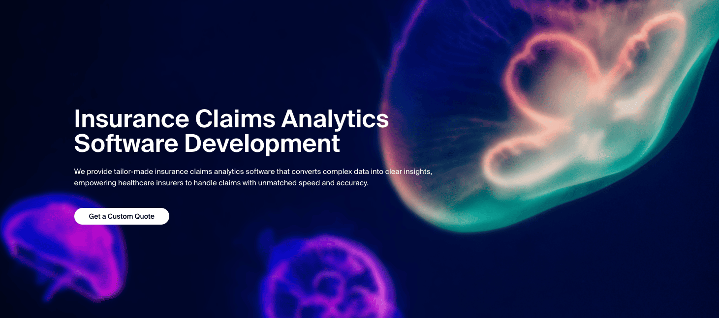 Insurance Claims Analytics Software Development