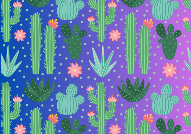 image of cactuses, which is relevant to perception of chronic conditions